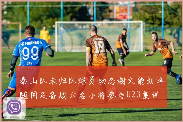 泰山队未归队球员动态谢文能刘洋随国足备战六名小将参与U23集训